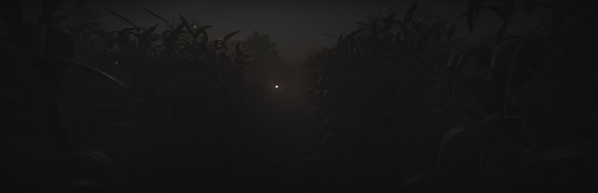 Snipe Hunt