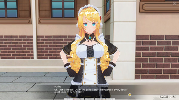 CUSTOM ORDER MAID 3D2 Personality Pack Overbearing and preppy girl maid
