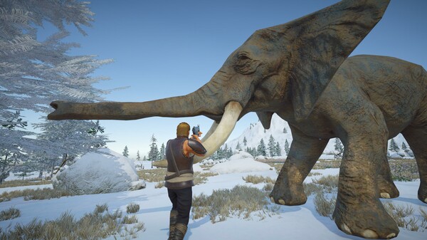 Thumbnail 10