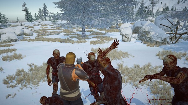 Thumbnail 12