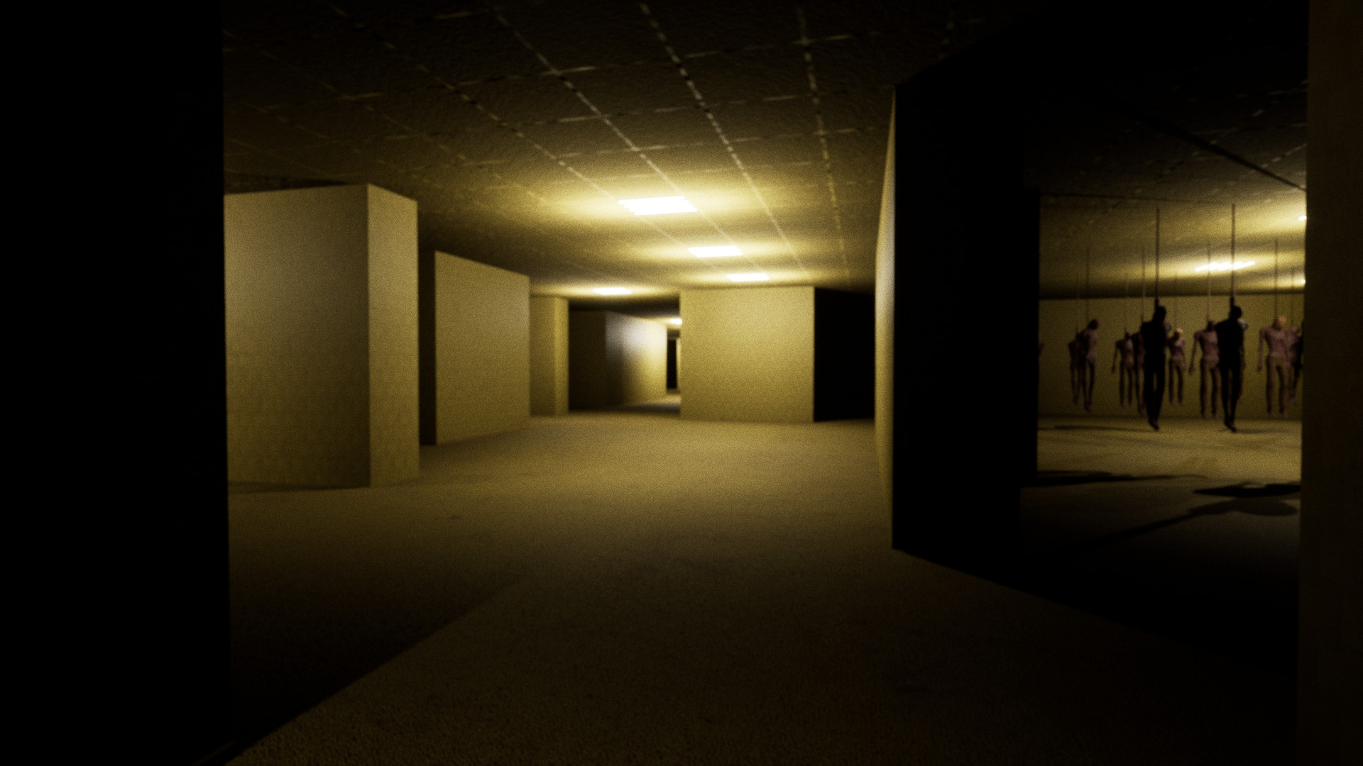 The Backrooms Project