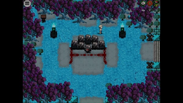 Victim screenshot 3