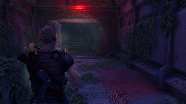 DecayZ 起源/DecayZ Origin