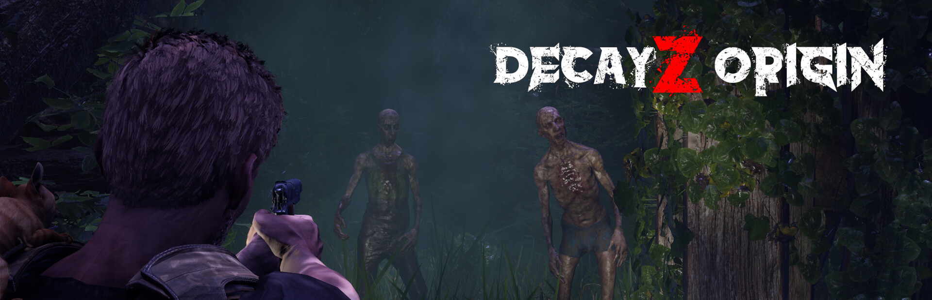 DecayZ Origin