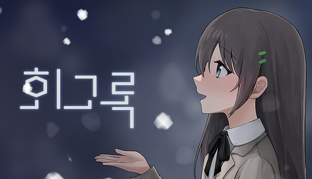 회고록