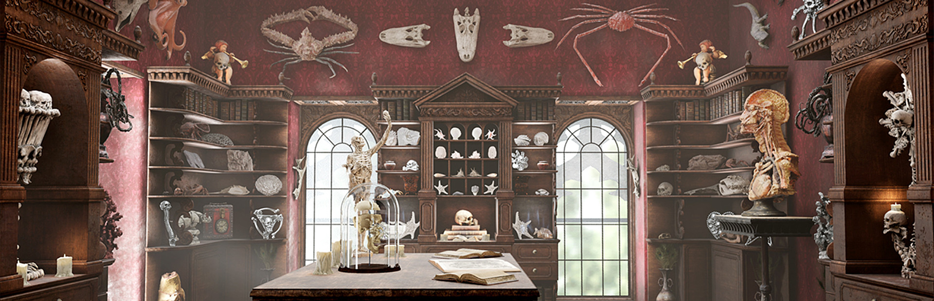 Cabinet of Curiosities VR