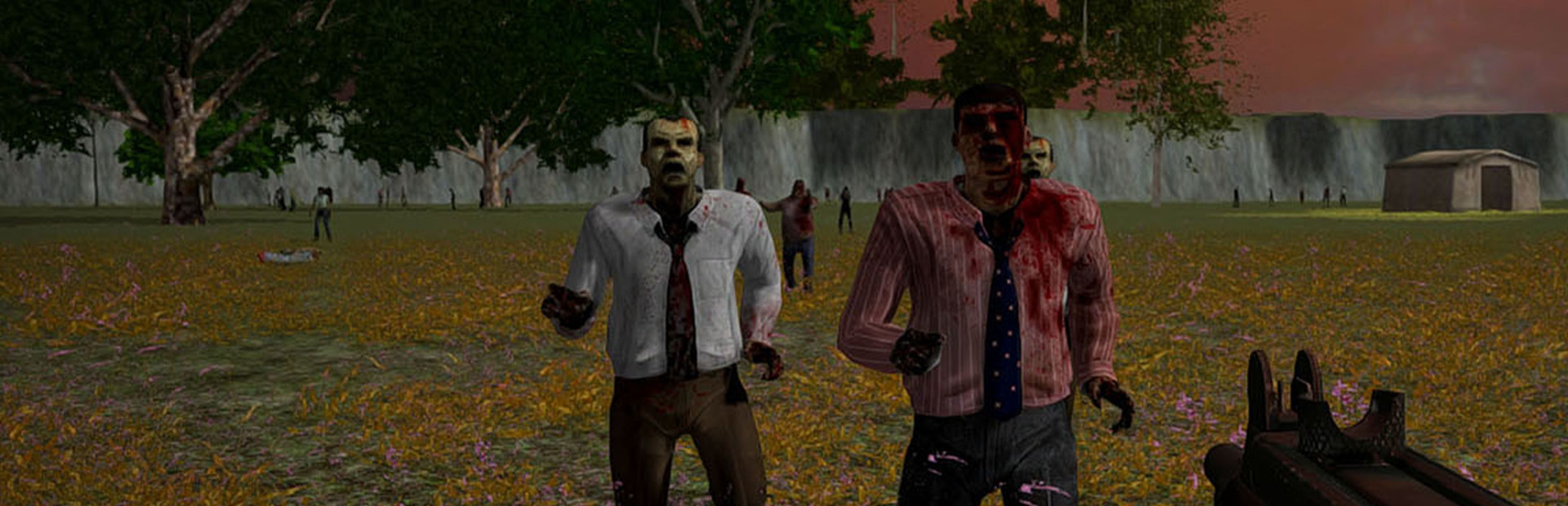 Me and the Zombies