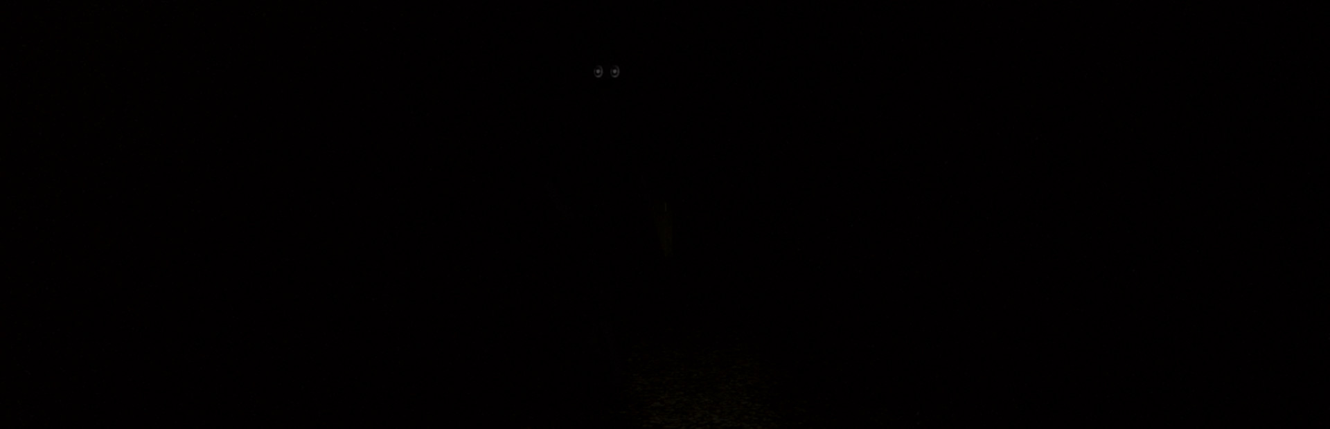 Sciophobia: The Fear of Shadows