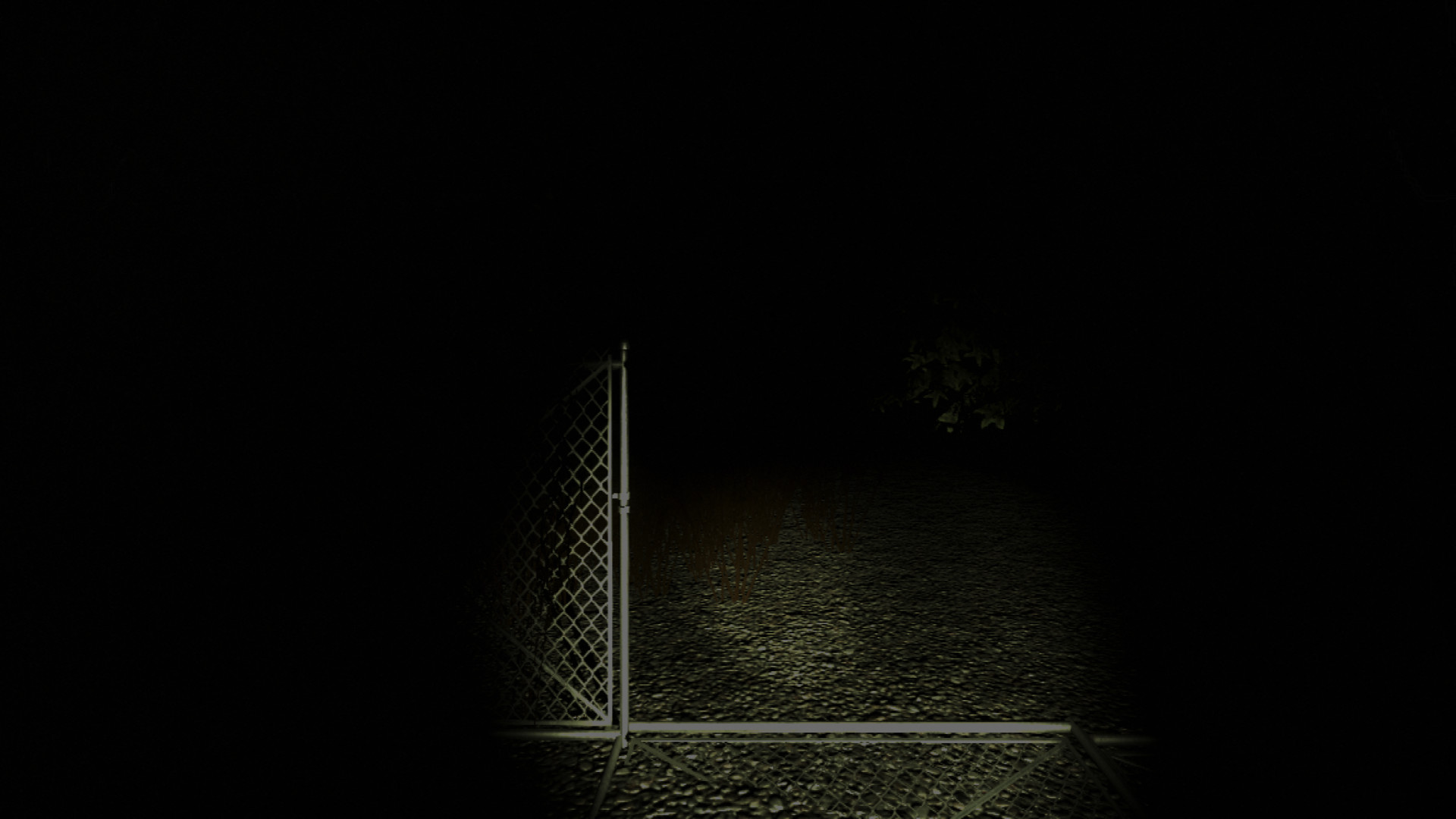 Sciophobia: The Fear of Shadows