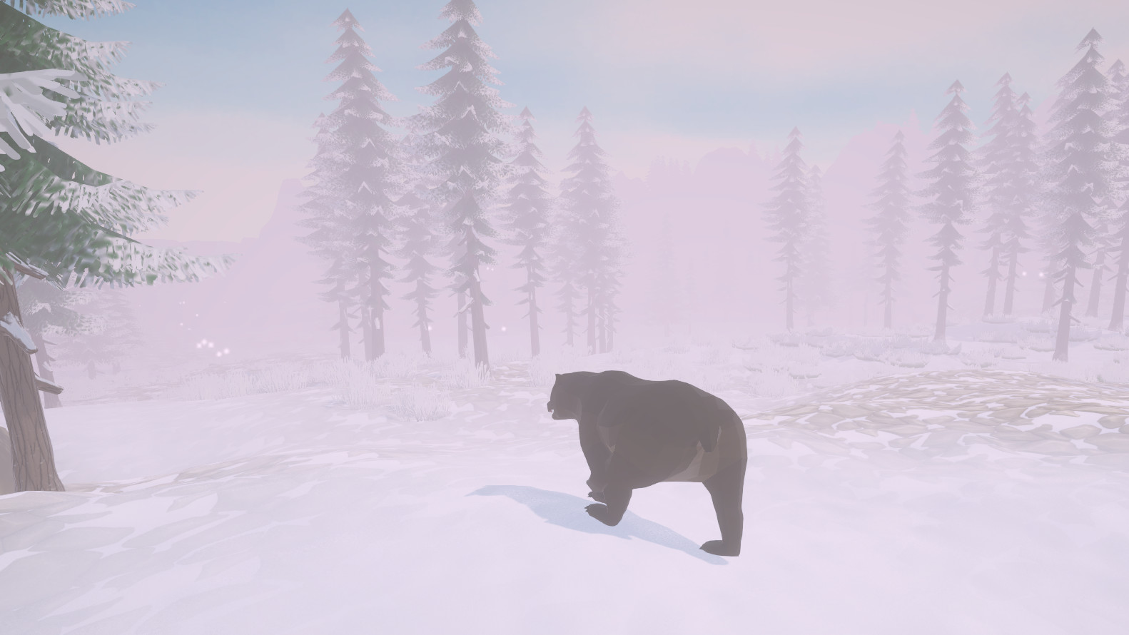 Cold Land