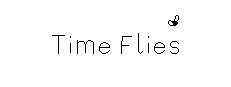 Time Flies Banner