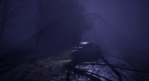 Tales From Hoia Baciu Forest screenshot 4