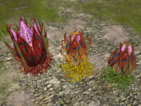 Defenders of Ardania: The Conjurer's Tricks