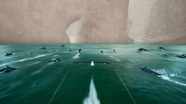 Toroa: Skycall