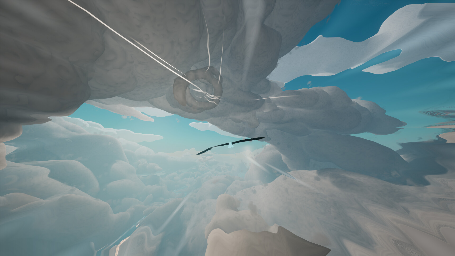 Toroa: Skycall screenshot #1