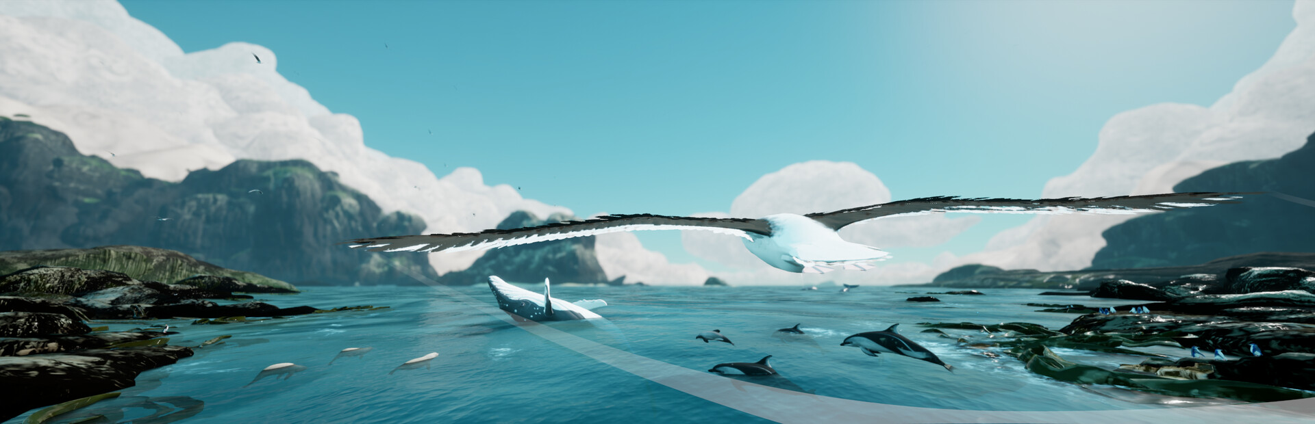 Toroa: Skycall
