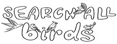 SEARCH ALL - BIRDS