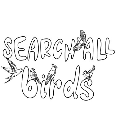 SEARCH ALL - BIRDS