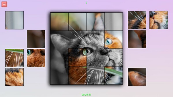 Screenshot media
