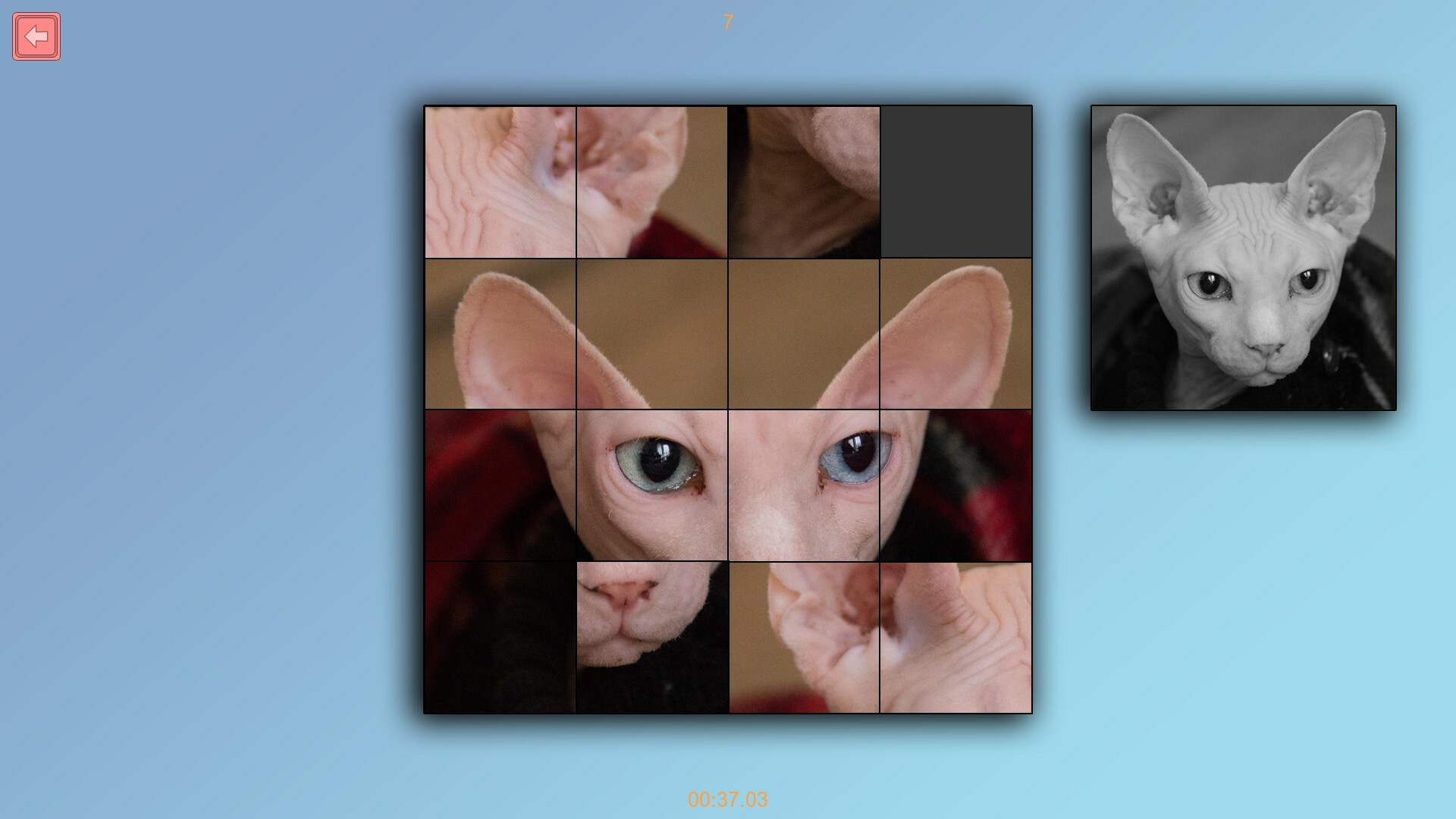 TitTok Kitty screenshot 4