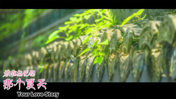 Your Love Story 被你忘记的那个夏天.