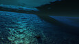 Screenshot #1
