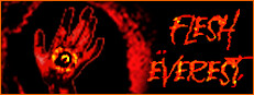 Flesh Everest cover