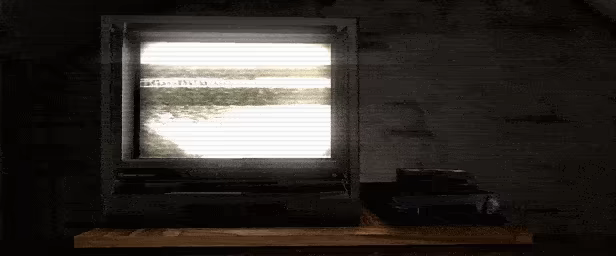 Flesh Everest video 7