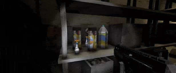Flesh Everest video 2