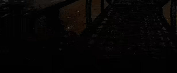 Flesh Everest video 5