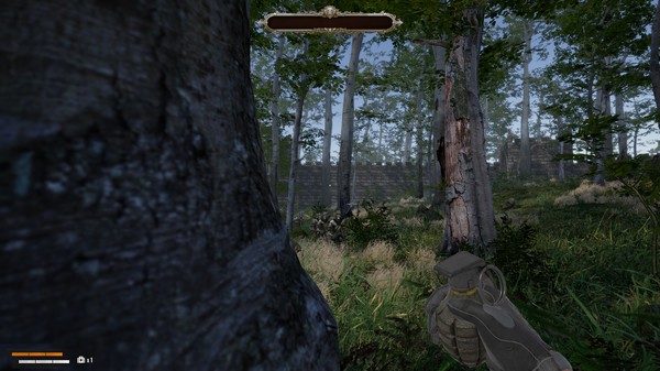 Screenshot z Solo War Medieval