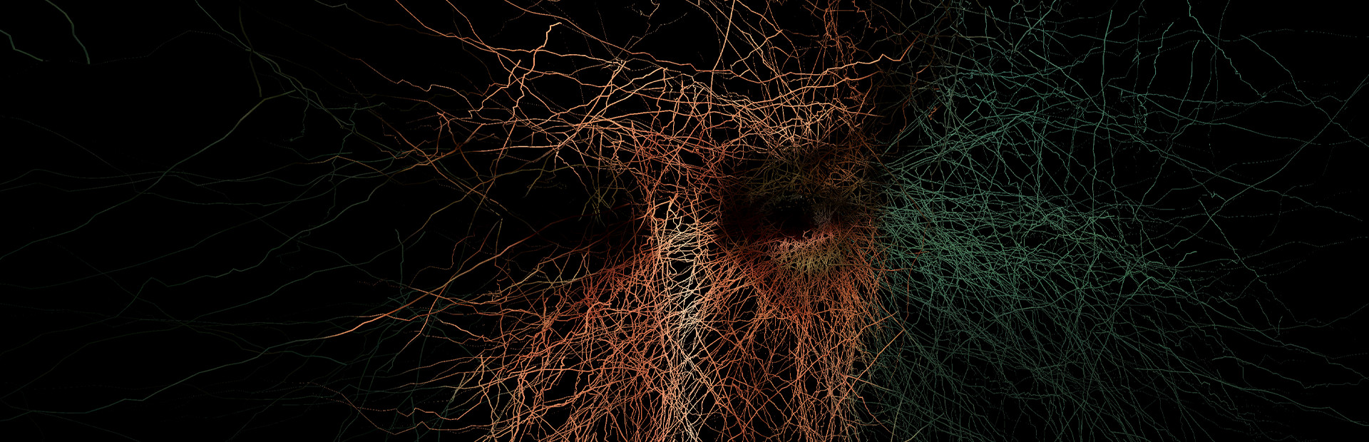 Immortelle