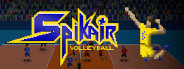 Spikair Volleyball Playtest screenshot 1