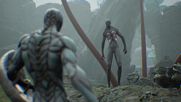 Thumbnail 12