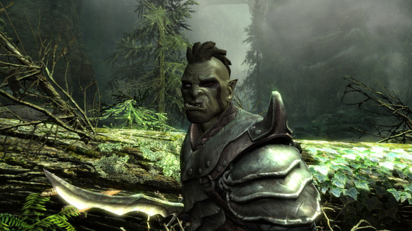 Skyrim: High Resolution Texture Pack (Free DLC) screenshot 8