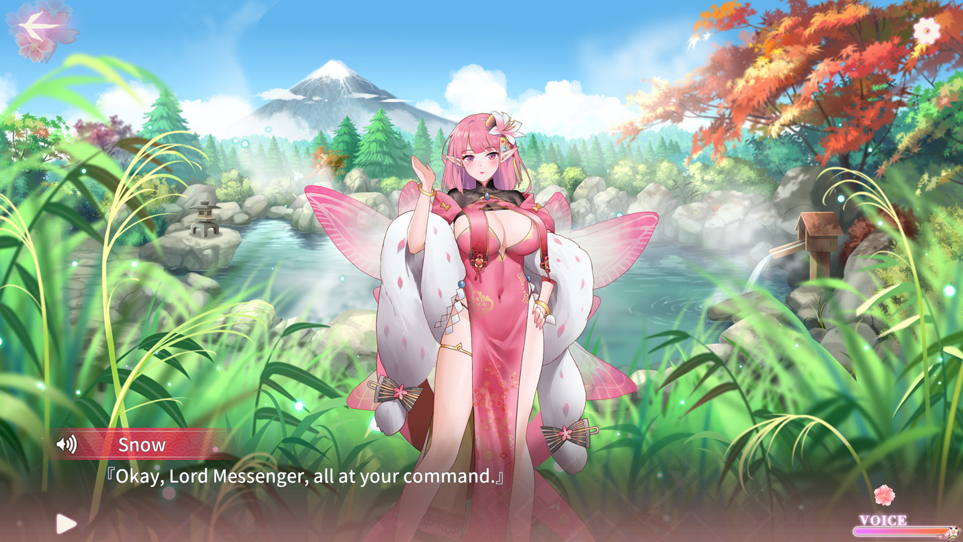 Flower girl 2 - 5 new characters bonus screenshot