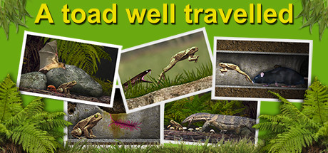 A toad well travelled steam charts