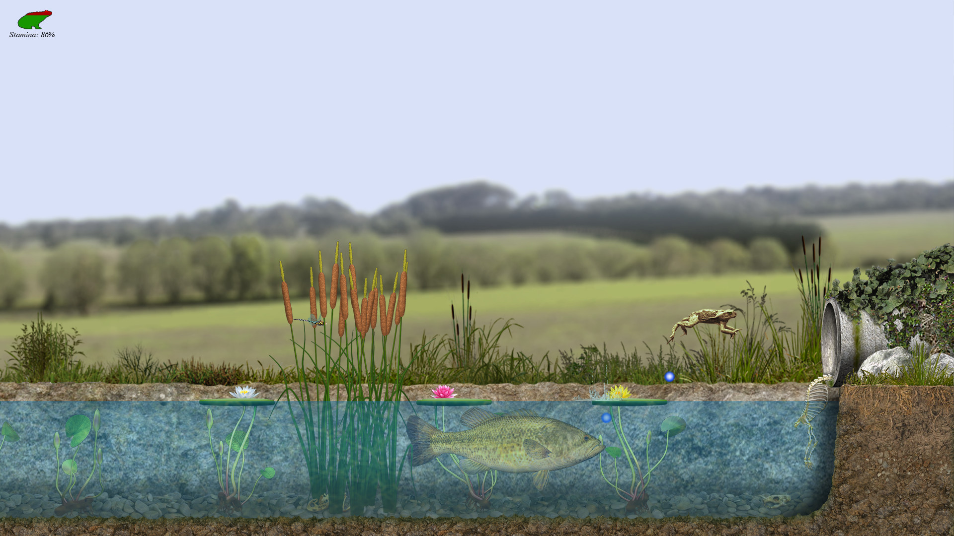 A toad well travelled screenshot #2