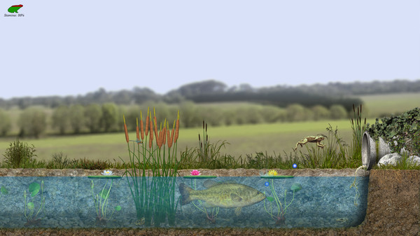 A toad well travelled screenshot 2