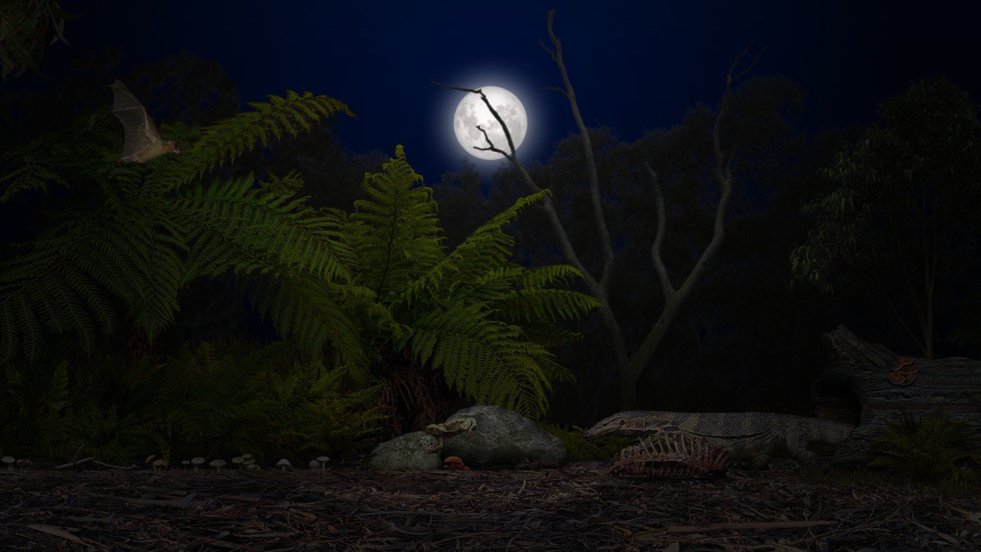 A toad well travelled screenshot #8