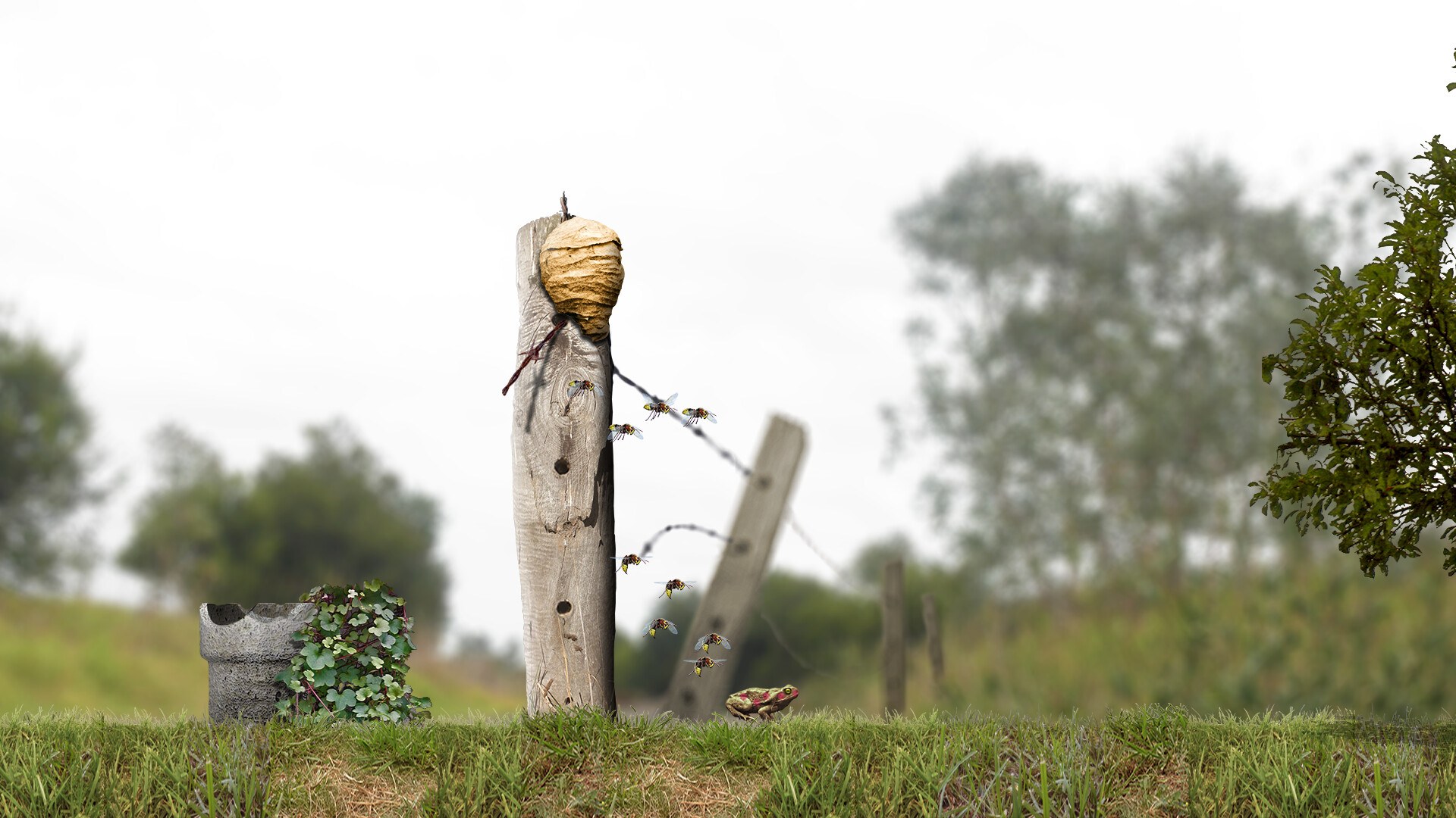 A toad well travelled screenshot #4