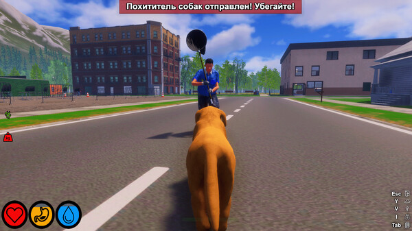 Screenshot z Lost Paws