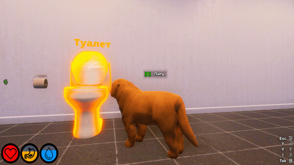 Screenshot z Lost Paws