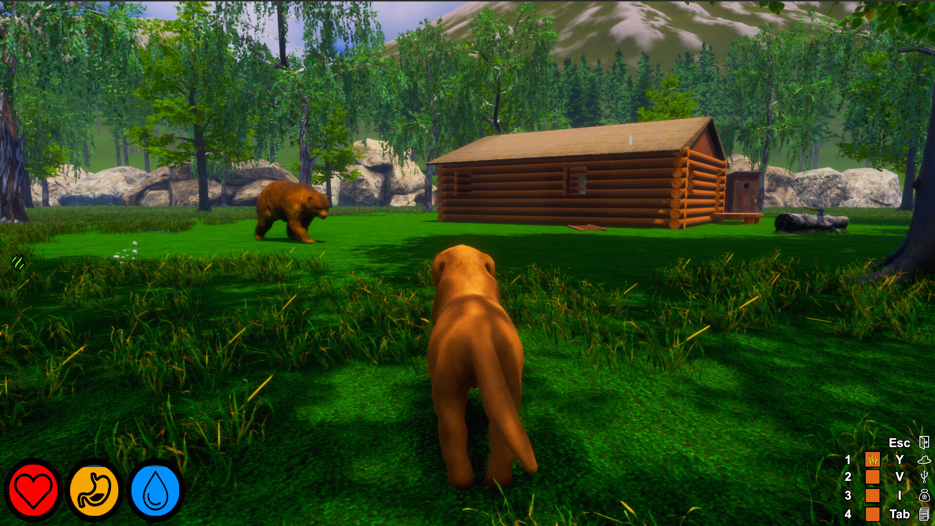 Screenshot 11