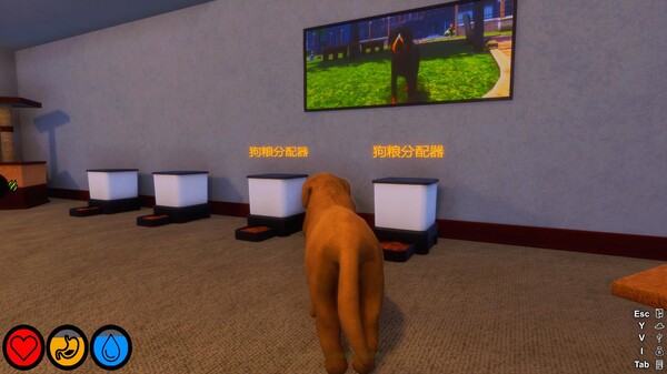 Lost Paws 截图 14