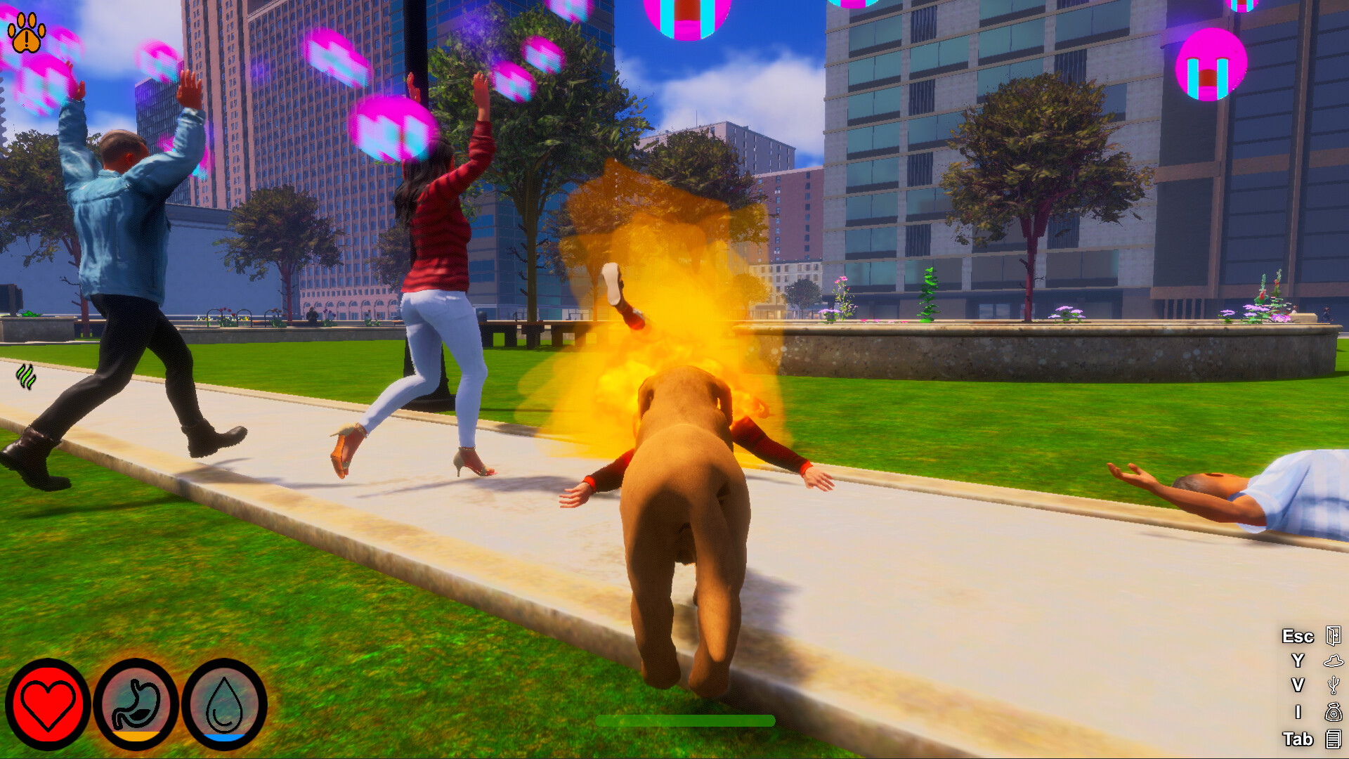 Lost Paws screenshot