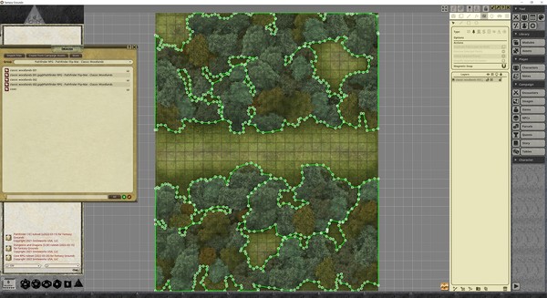 Fantasy Grounds - Pathfinder RPG - Pathfinder Flip-Mat - Classic Woodlands