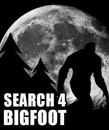 Search 4 Bigfoot