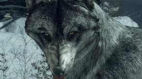 Call of Duty: Ghosts - Wolf Skin screenshot thumbnail video
