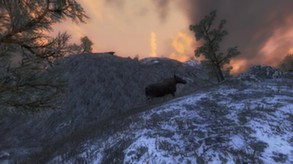 theHunter Classic-游戏截图